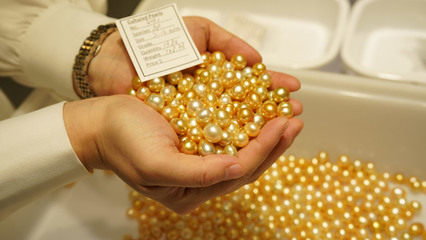 深珠寶展銷會嘉年華隆重開幕，國際珍珠看貨會現(xiàn)場火爆